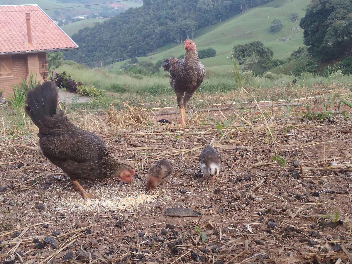 Reobote Chales São Bento do Sapucaí Dış mekan fotoğraf